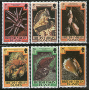 British Virgin Islands 1982  Seashells Sc 367 6v MNH # 759
