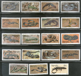 Reptile - Amphibians