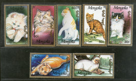 Cats & Dogs