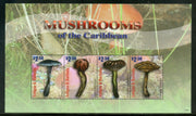 Mushroom - Fungi - Cactus