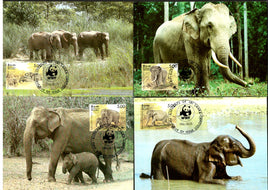 WWF - Max Cards