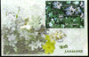 India 2008 Flower Jasmine Fragranced M/s on Private FDC # 10036