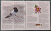 Sweden 2001 Year Pack of 69 Stamps Folder including Flower Dogs Aeroplane Birds Joints Issue Fishes MNH # 10106