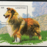 Lesotho 1999 Rough Collie Dogs of World Pet Animals Sc 1175 M/s MNH # 1039
