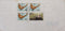 China PR 2000 Regd. Birds Stamped Air Mail cover to India # 18339