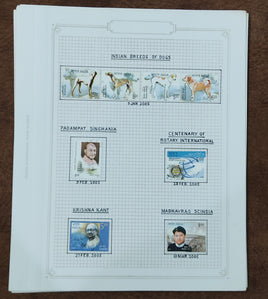 India 2005 Complete Year Pack well Hand Written Fine Used mounted Collection