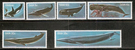 South West Africa 1980 Killer Whale Marine Life Mammals MNH # 2200