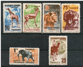 Spain Elephant Tiger Lion Giraffe Antelope Wildlife 6v MNH # 3038
