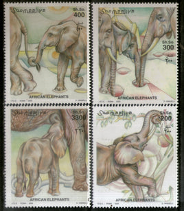 Somalia 2000 African Elephant Wildlife Animals Fauna 4v MNH # 472