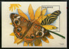 Maldives 1996 Zebra Butterflies Moth Insect Sc 2174 M/s MNH # 5413