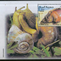 Somalia 1999 Sea Sheel Marine Life M/s MNH # 5589