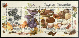 Romania 1994 Mushroom Fungi Flora M/s MNH # 5661