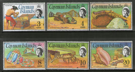 Cayman Islands 1974 QE II Seashell Fish Pistol Gems 6v MNH # 653