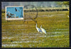India 1975 Ghana Bird Sanctuary Phila-676 Max Card # 7501