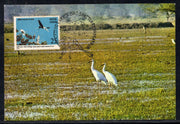 India 1975 Ghana Bird Sanctuary Phila-676 Max Card # 7501