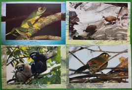 India 2012 Convention on Biological Diversity Bird Frog Monkey Animal Blank Max Card # 7518