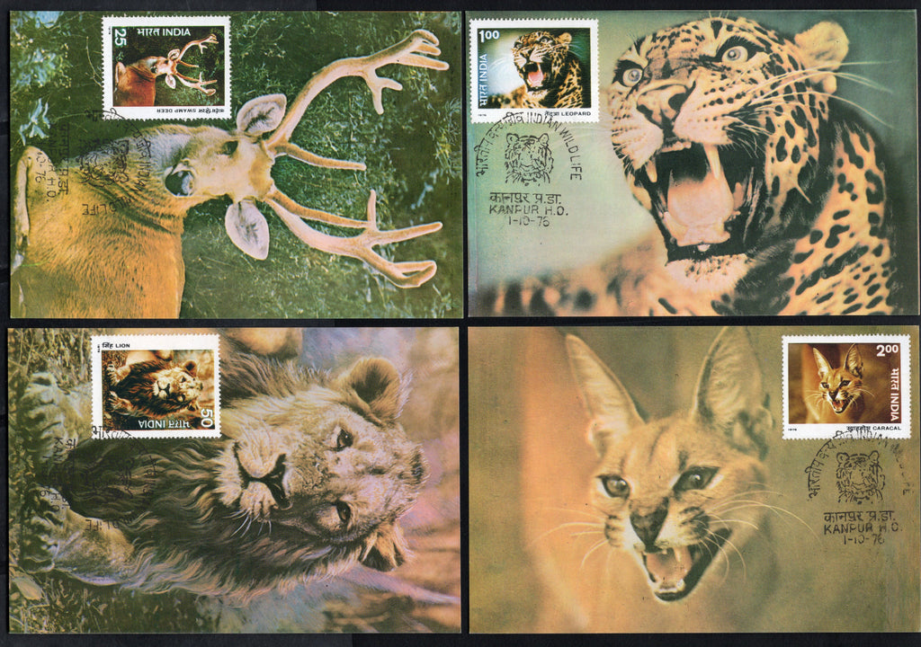 India 1976 Wildlife Animals Lion Deer Leopard Caracal Phila-699-702 Max Cards # 7559