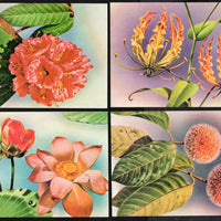 India 1977 Indian Flowers Lotus Tree Plant Phila-724-27 Max Cards # 7583