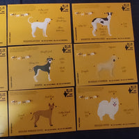 India 2021 Dogs Breeds of India 12 Diff. Picture Post Cards Mint # 7904
