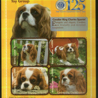 Sierra Leone 2009 Cavalier King Charles Dogs Animals Sc 2949 M/s MNH # 7993