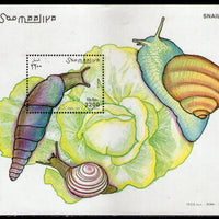 Somalia 1999 Sea Shells & Snail Marine Life Animal M/s MNH # 8271