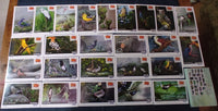 India 2025 Birds Natural Wonders of Tamilnadu 25 Diff. Picture Post Cards Mint # 9260