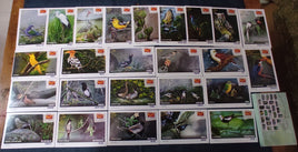 India 2025 Birds Natural Wonders of Tamilnadu 25 Diff. Picture Post Cards Mint # 9260