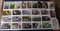 India 2025 Birds Natural Wonders of Tamilnadu 25 Diff. Picture Post Cards Mint # 9260