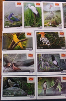 India 2025 Birds Natural Wonders of Tamilnadu 25 Diff. Picture Post Cards Mint # 9260