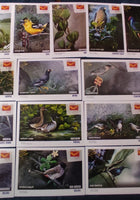 India 2025 Birds Natural Wonders of Tamilnadu 25 Diff. Picture Post Cards Mint # 9260