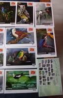 India 2025 Birds Natural Wonders of Tamilnadu 25 Diff. Picture Post Cards Mint # 9260