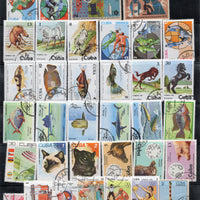Cuba 45 Diff. Used Stamps on Olympic Painting Animal Dog Cats Fish Horses # 885