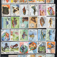Cuba 50 Diff. Used Stamps on Olympic Painting Animal Dog Cats Fish Horses # 733