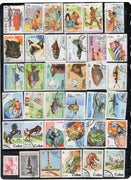 Cuba 50 Diff. Used Stamps on Olympic Painting Animal Dog Cats Fish Horses # 733