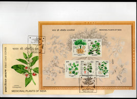 India 2025 Medicinal Plants of India M/s FDC