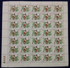 India 1982 Asian Games Discuss Throw Phila 910 Full Sheet of 35 Stamps MNH # 42
