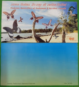 India 2008 Endemic Butterflies of Andaman & Nicobar Islands Blank Presentation Pack # GK26