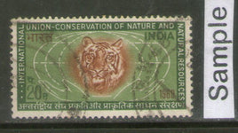 India 1969 Conservation of Nature Animal Wildlife Tiger Phila-501 Used Stamp