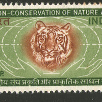 India 1969 Conservation of Nature Animal Wildlife Tiger Phila-501 Mounted Mint # 1299