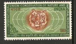 India 1969 Conservation of Nature Animal Wildlife Tiger Phila-501 Mounted Mint # 1299