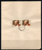 India 1970 V.I. Lenin USSR Leader Phila-509 Pair FD Cancelled on Plain Paper