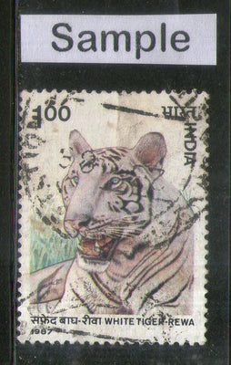 India 1987 White Tiger Wildlife Animal Phila-1109 Used Stamp