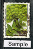 India 1998 Pharmaceutical Congress Association Phila-1658 Used Stamp