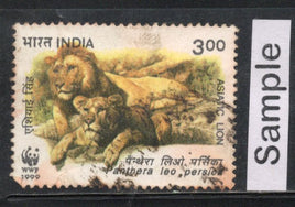 India 1999 WWF Asiatic Lion Wild Life Animal Phila-1704 Used Stamp