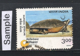 India 2000 Endangered Species Turtle Marine Life Phila-1742 Used Stamp