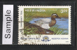 India 2000 Migratory Birds Phila-1764 Used Stamp