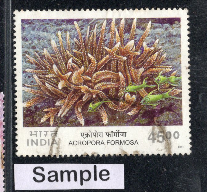 India 2001 Corals of India Phila-1843 Used Stamp