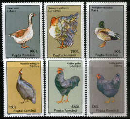 Romania 1995 Poultry Birds Fowl Cock Sc 4025-30 MNH # 1051