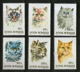 Romania 1993 Domestic Cats Pet Animals Sc 3822-27 MH # 1248