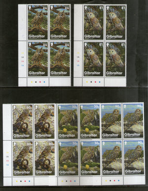 Gibraltar 2020 Birds of Prey Owls Wildlife Animals 5v BLK/4 MNH # 12527B